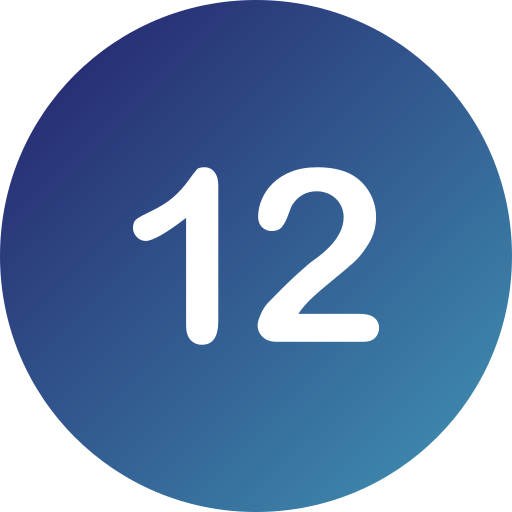 12. Sınıf